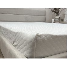 Mattress cover 120x200 Ecotton Aqua-stop Jacquard with border around the perimeter