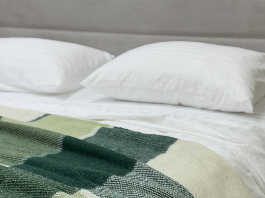 Plaid Euro 200x220 Vladi Шерстяной Белый Салатовый Dark green Elf 01 Liam