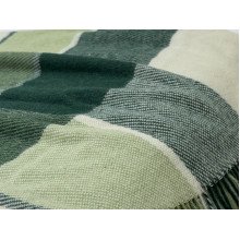 Plaid Euro 200x220 Vladi Шерстяной Белый Салатовый Dark green Elf 01 Liam