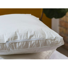 Pillow 50x70 Ecotton Teak White with border