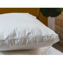 Pillow 50x70 Ecotton Teak White with border