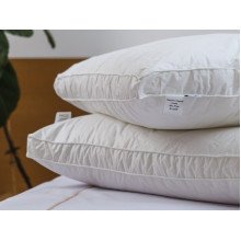 Pillow 50x70 Ecotton Teak White with border