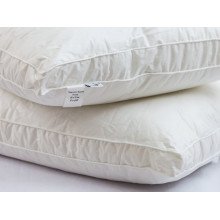 Pillow 50x70 Ecotton Teak White with border