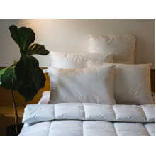 Cushion 50x70 Ecotton Teak White