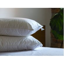 Cushion 50x70 Ecotton Teak White