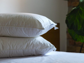 Подушка 50x70 Ecotton Тік Білий