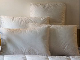 Подушка 50x70 Ecotton Тік Білий
