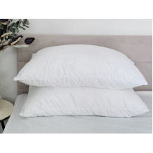 Pillow 50x70 Ecotton Polysatin