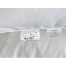 Pillow 50x70 Ecotton Polysatin