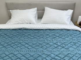 Покривало 200x220 Ecotton Полісатин жаккард Зелений